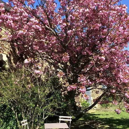 La Mouliniere, Jolie Longere Du Xviie 25, Chemin De La Source Oda ve Kahvaltı