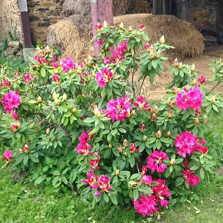 La Moulinière, Jolie Longère Du Xviiè 25, Chemin De La Source Bed & Breakfast