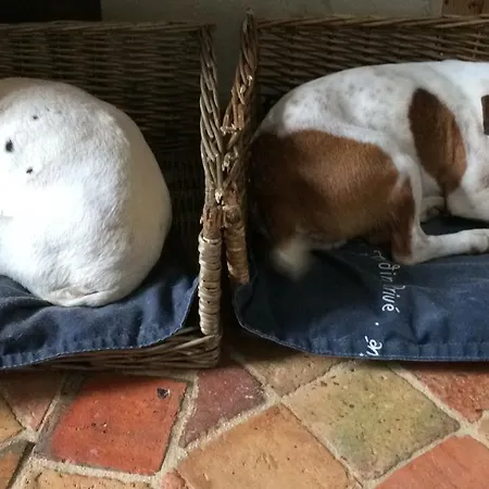 La Mouliniere, Jolie Longere Du Xviie 25, Chemin De La Source 3*