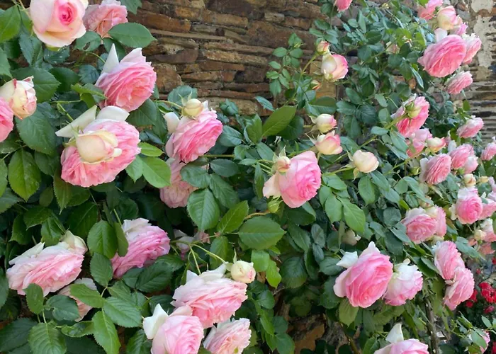 La Mouliniere, Jolie Longere Du Xviie 25, Chemin De La Source Bed and Breakfast La Jaille-Yvon